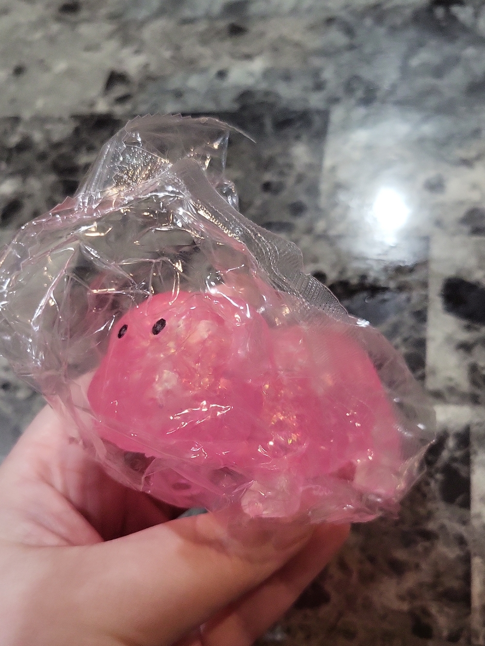 Sugar Dog Squishy Toy